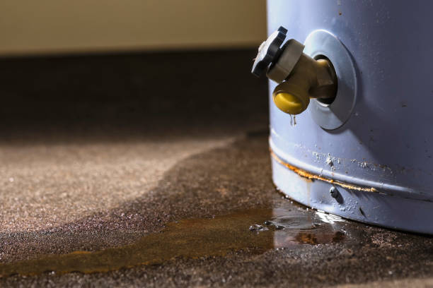 Best Ceiling water damage repair  in Magnolia, NC