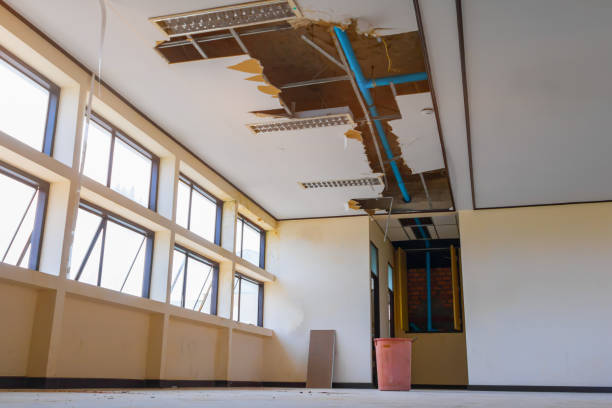 Best Water damage restoration mold remediation  in Magnolia, NC