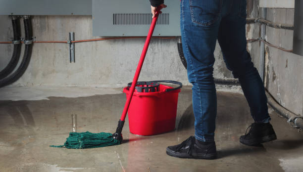 Best Water damage repair service  in Magnolia, NC