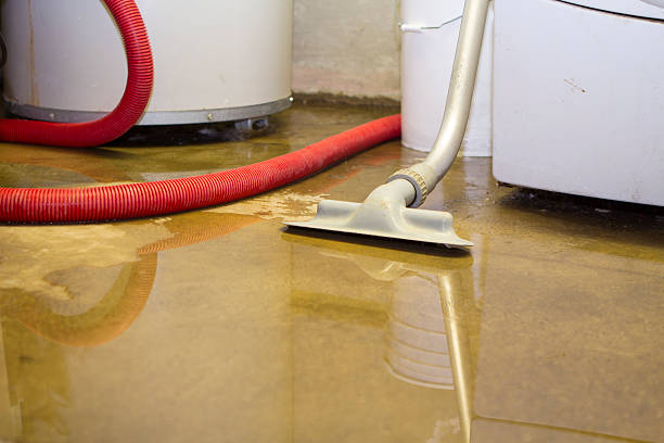 Best Carpet water damage restoration  in Magnolia, NC