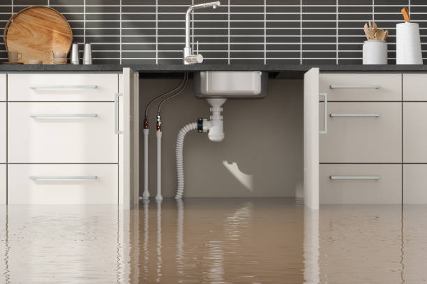Best Water damage restoration experts  in Magnolia, NC