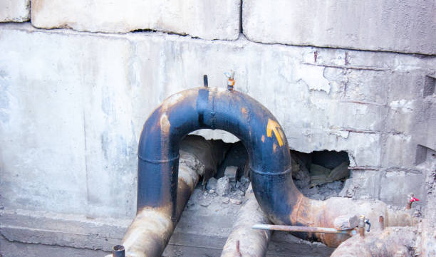 Best 24/7 water damage repair  in Magnolia, NC