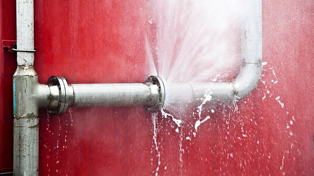 Best Water damage restoration near me  in Magnolia, NC