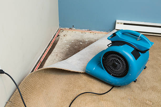 Best Sewage cleanup and water damage restoration  in Magnolia, NC